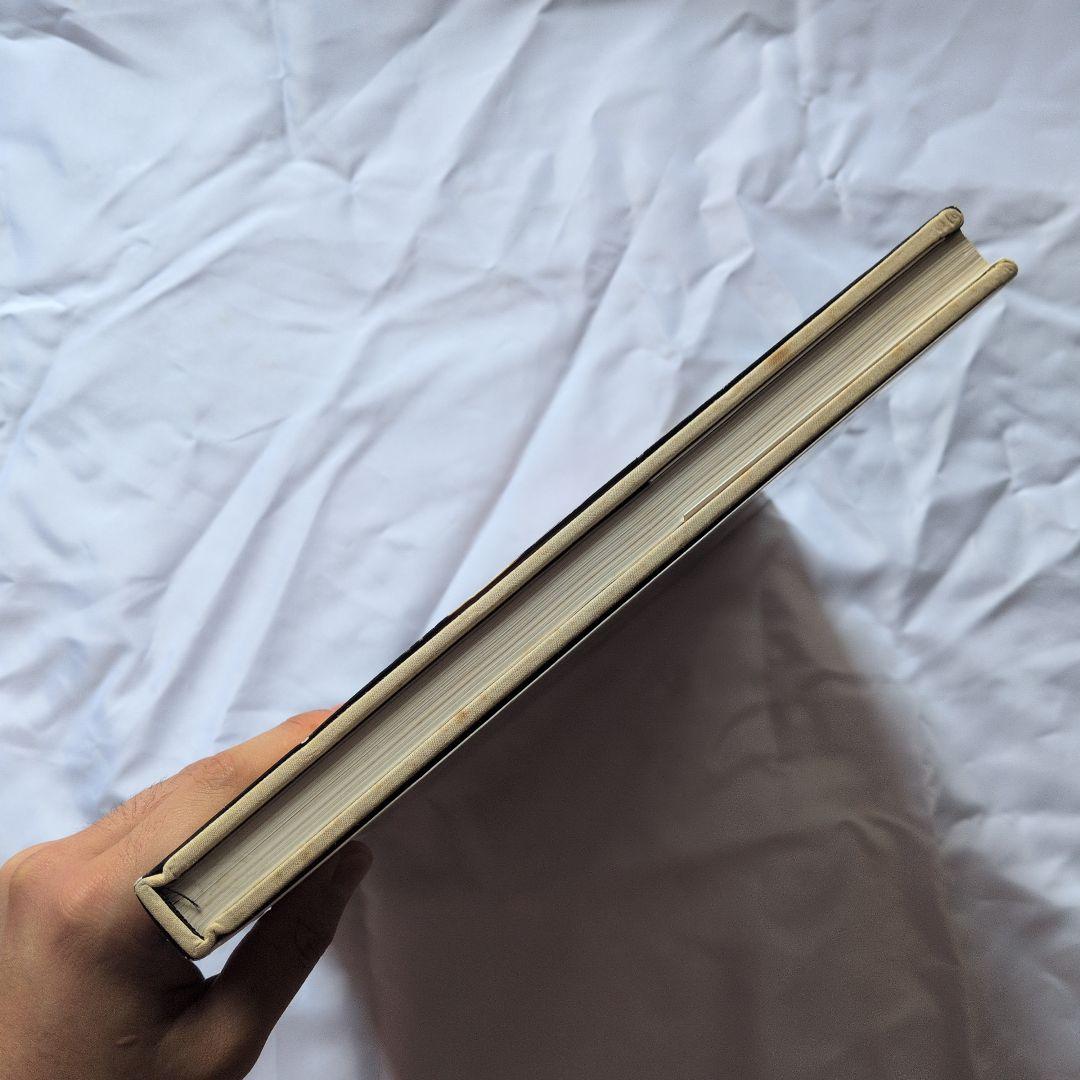 アート・デザイン・音楽 MIKE & DOUG STARN ATTRACTED TO LIGHT SET