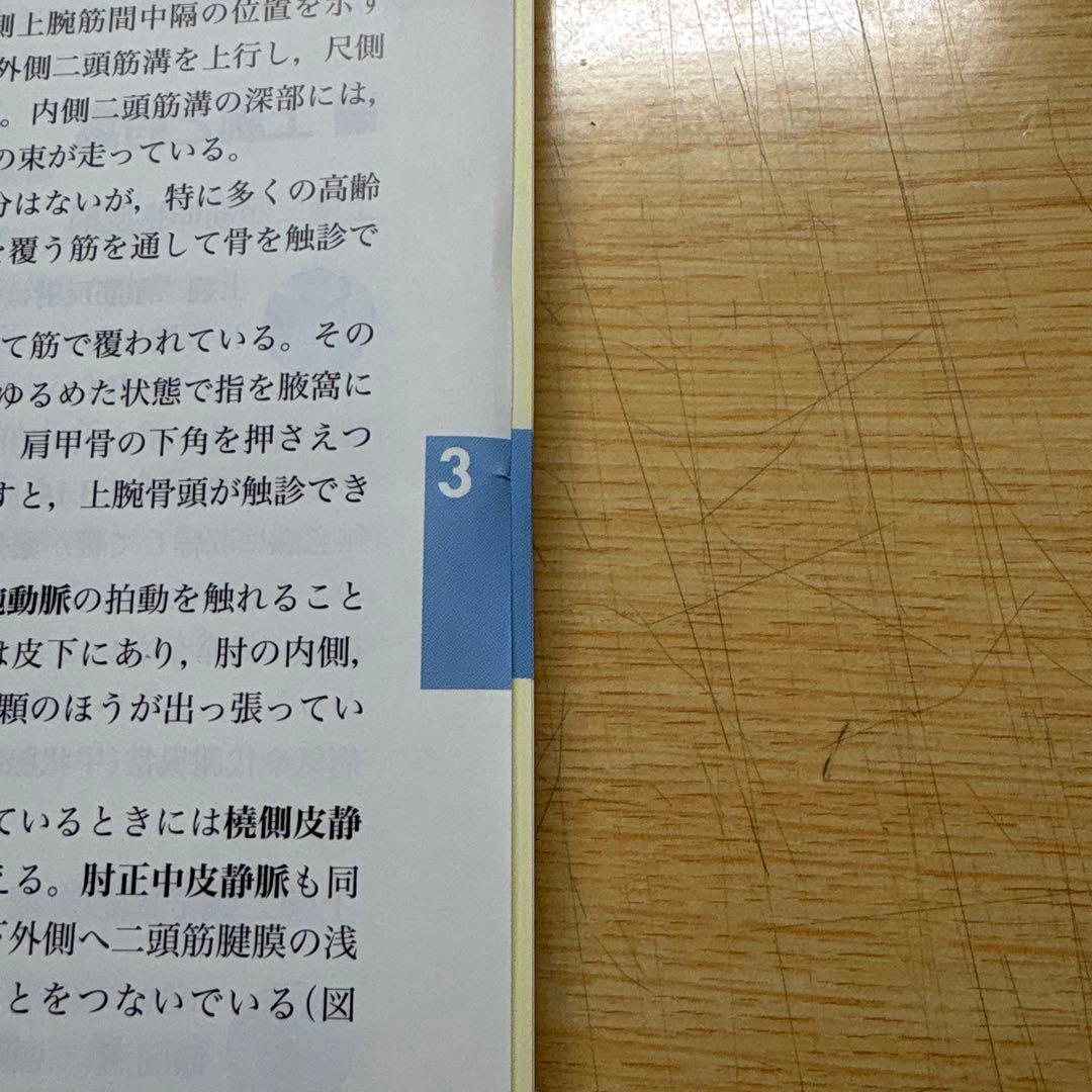 臨床のための解剖学