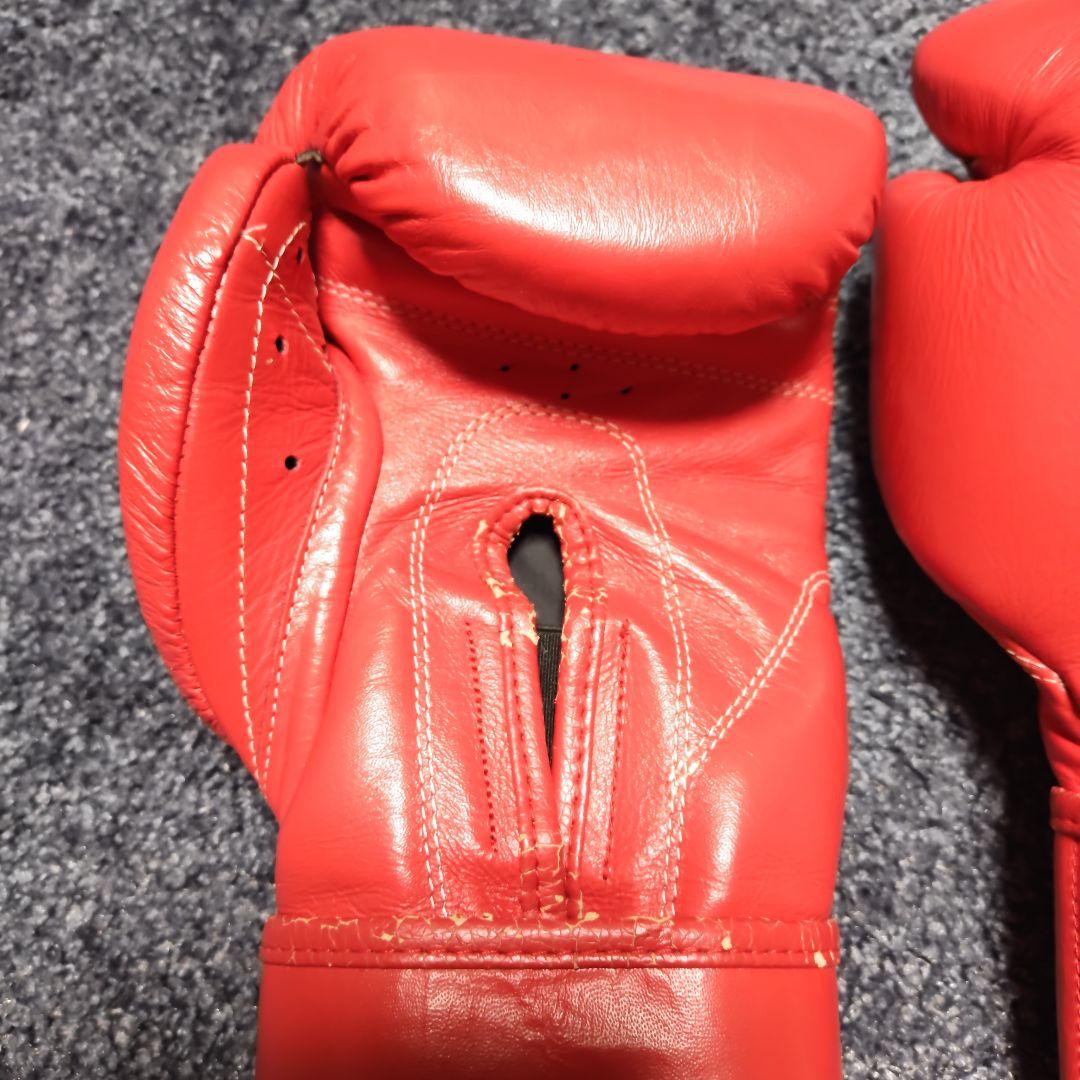 レイジェス14オンス　グローブ