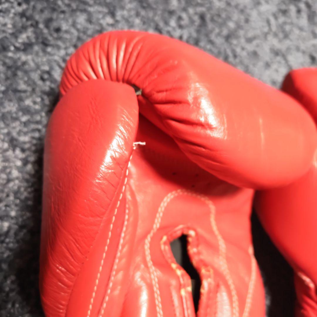 レイジェス14オンス　グローブ