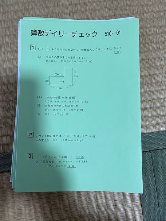 サピックス　5年　算数　完全版　フルセット