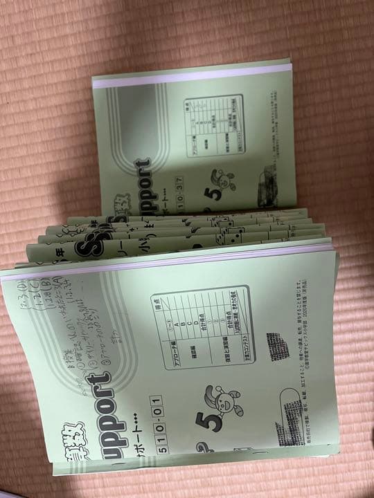 サピックス　5年　算数　完全版　フルセット