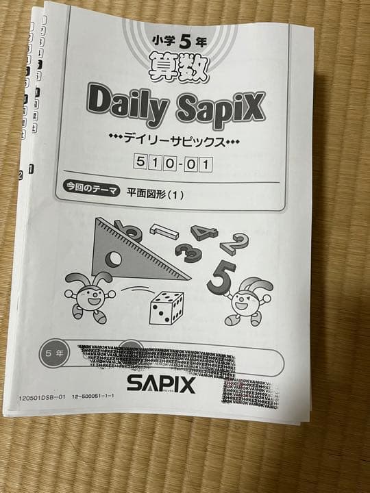 サピックス　5年　算数　完全版　フルセット
