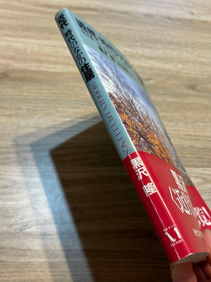 黒沢隆　改訂版・近代　時代のなかの住居 近代建築をもたらした46件の住宅