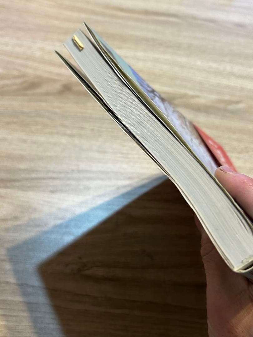 黒沢隆　改訂版・近代　時代のなかの住居 近代建築をもたらした46件の住宅