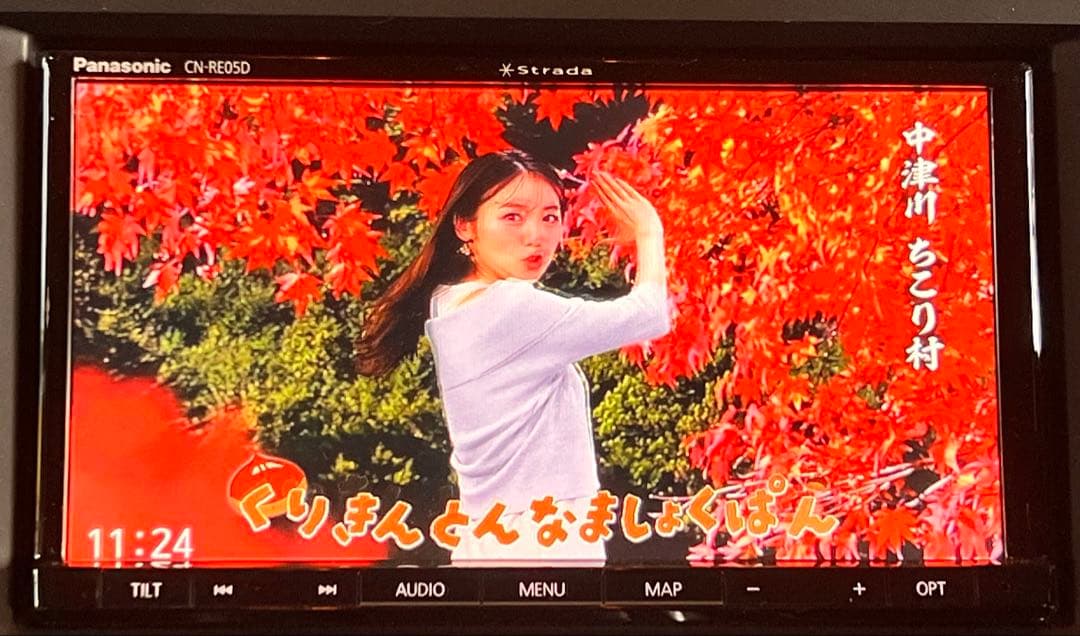 Panasonic Strada CN-RE05D カーナビ 地図2018