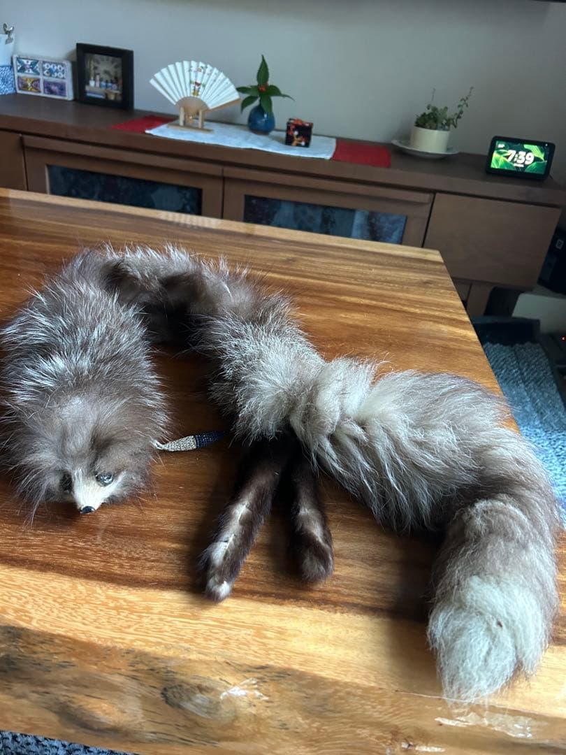 ミンクロングコートとシルバーフォックスマフラー