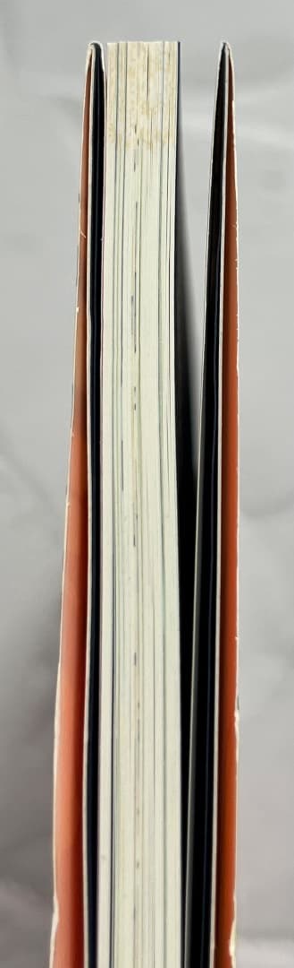 レア 帯付 初版 ドラゴンボール アニメ イラスト集 金色の戦士 鳥山明 画集