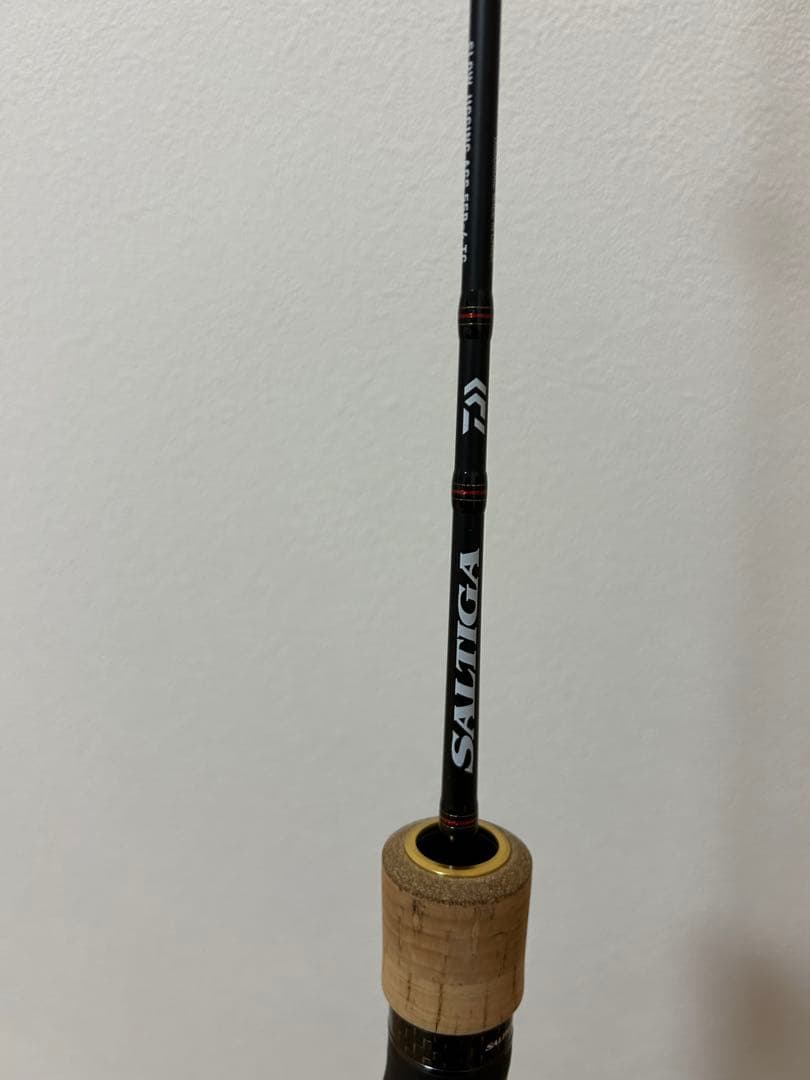 ダイワ　ソルティガ　 SLOW JIGGING AGS 55B-4 TG