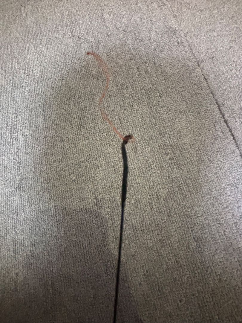 ヘラ竿　竿置き　まとめ売り　一部ジャンク