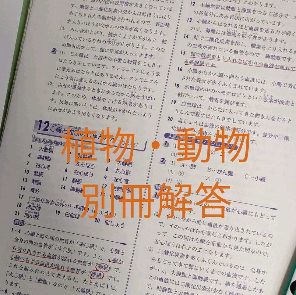 テーマ別特訓ノート　電流・天体・植物動物