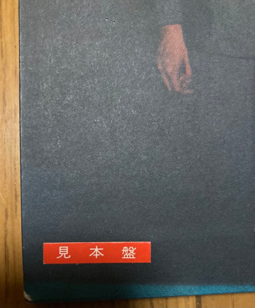 《レア！ 》初回1980年盤 オリジナル見本盤 THE ROOSTERS 名盤！