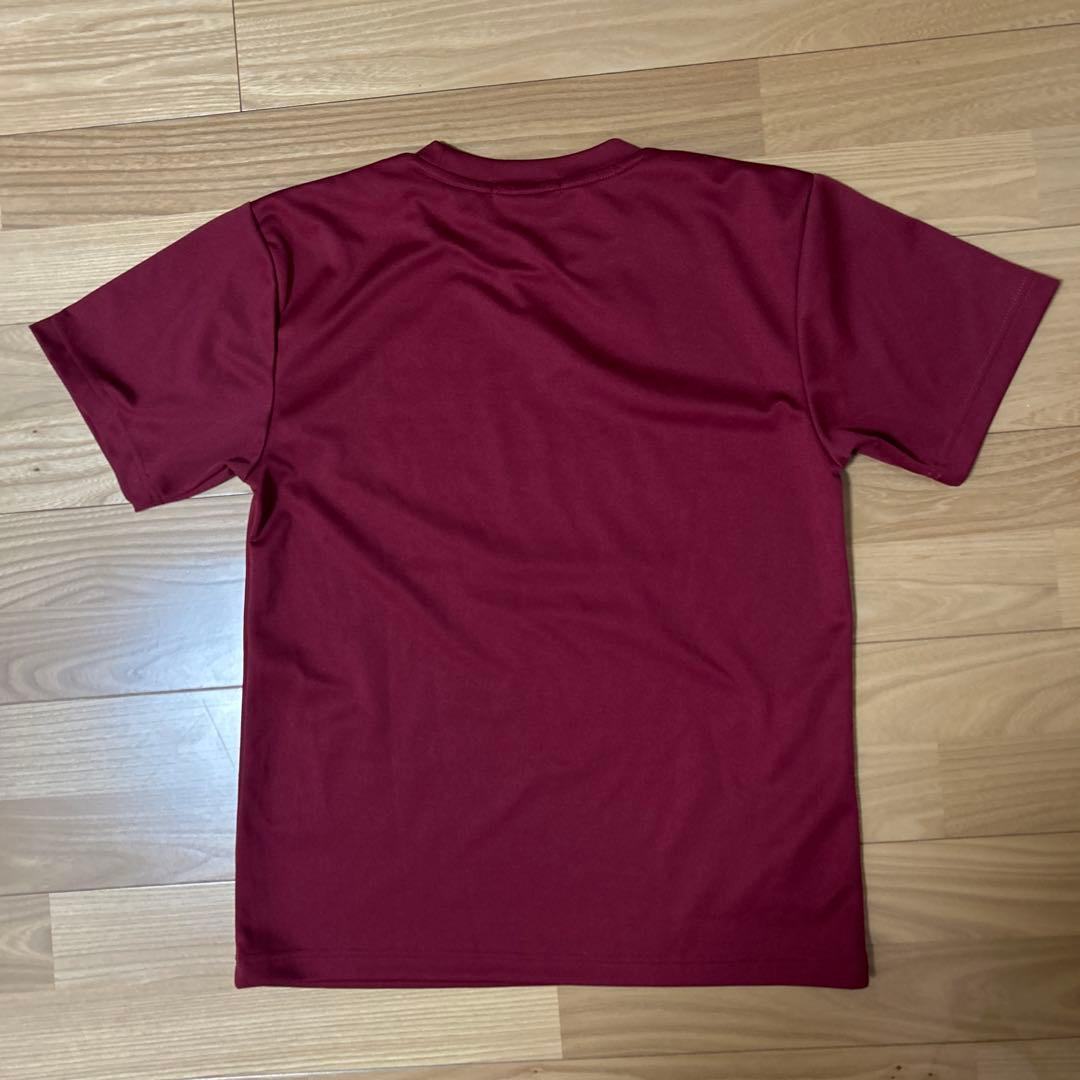 激レア 早稲田大学バレーボール 歴代優勝記念Tシャツ