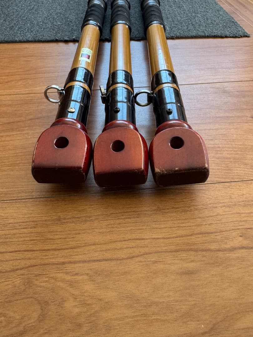 鯉スペシャル520