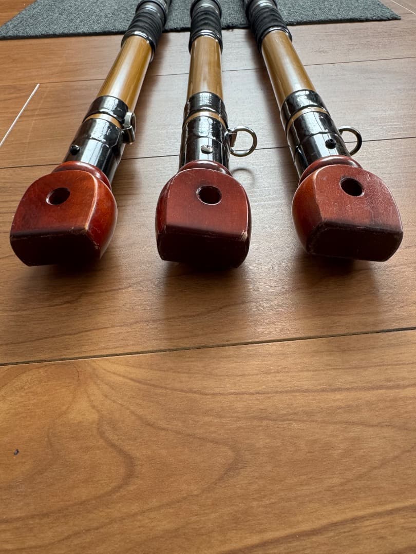 鯉スペシャル520