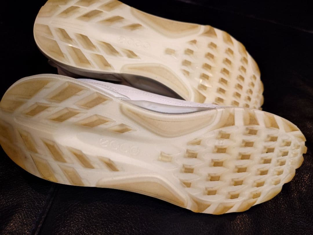 エコー バイオム C4 スパイクレス ゴルフシューズ 43 更に値下げしました