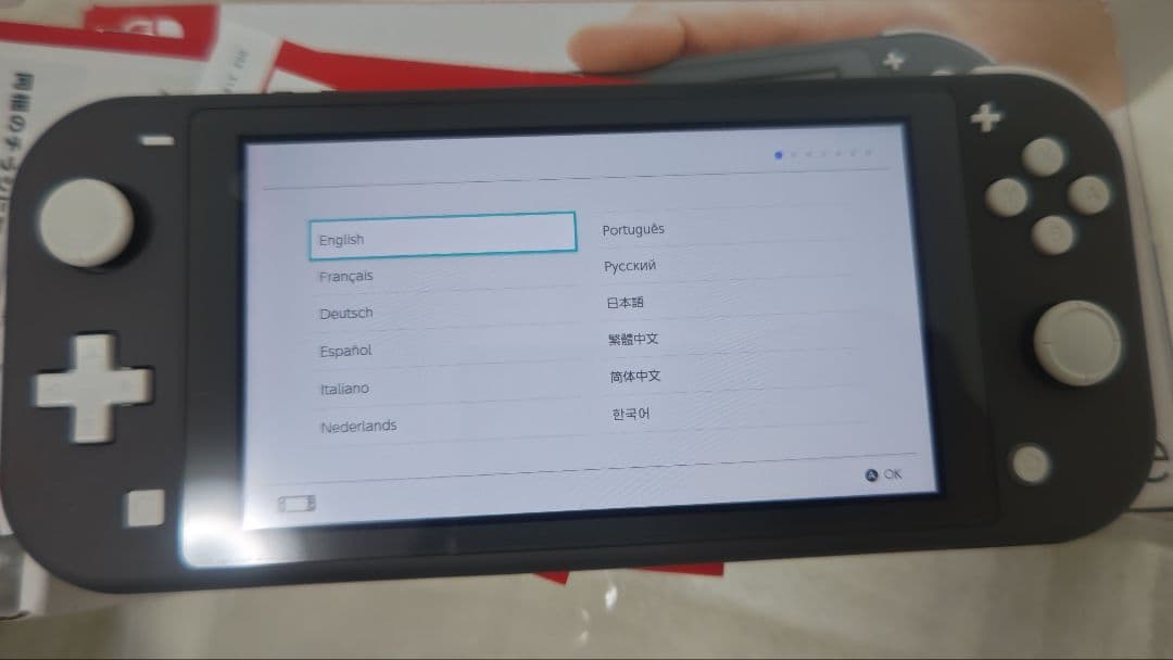 【早い物勝ち品!!】Nintendo Switch Lite グレー 本体　美品