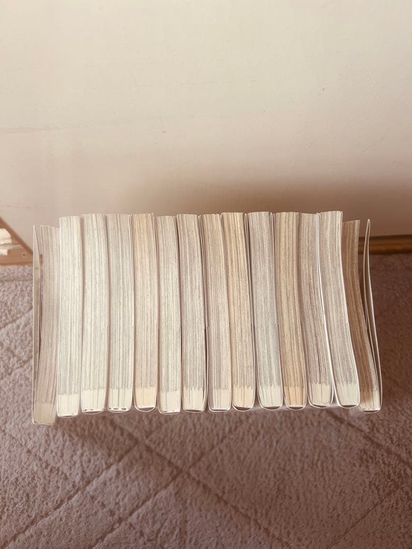 薬屋のひとりごと全巻セット 1-14巻 小説　1〜15巻 全巻セット1〜19巻