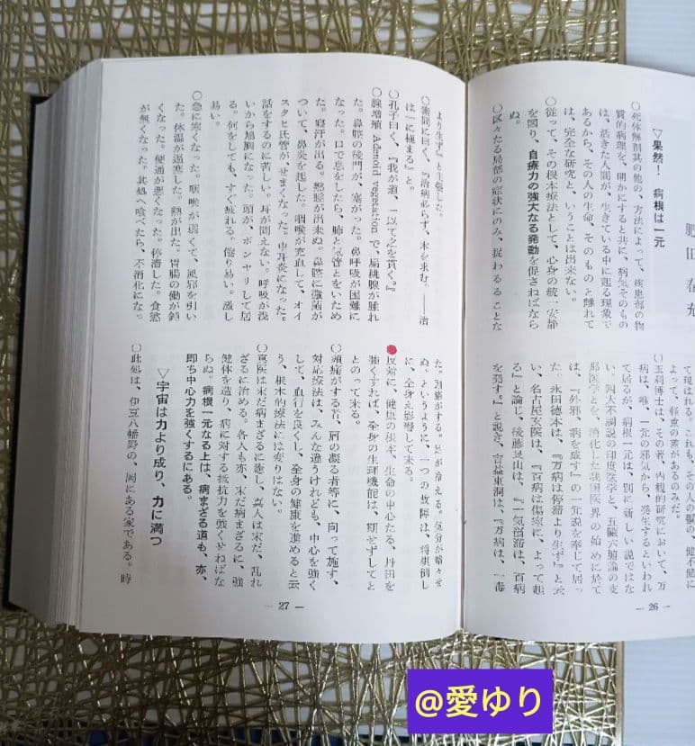 肥田春充♦合本復刻版『機関紙 聖中心道』⭐肥田式強健術⭐宇宙倫理の書⭐天真療法