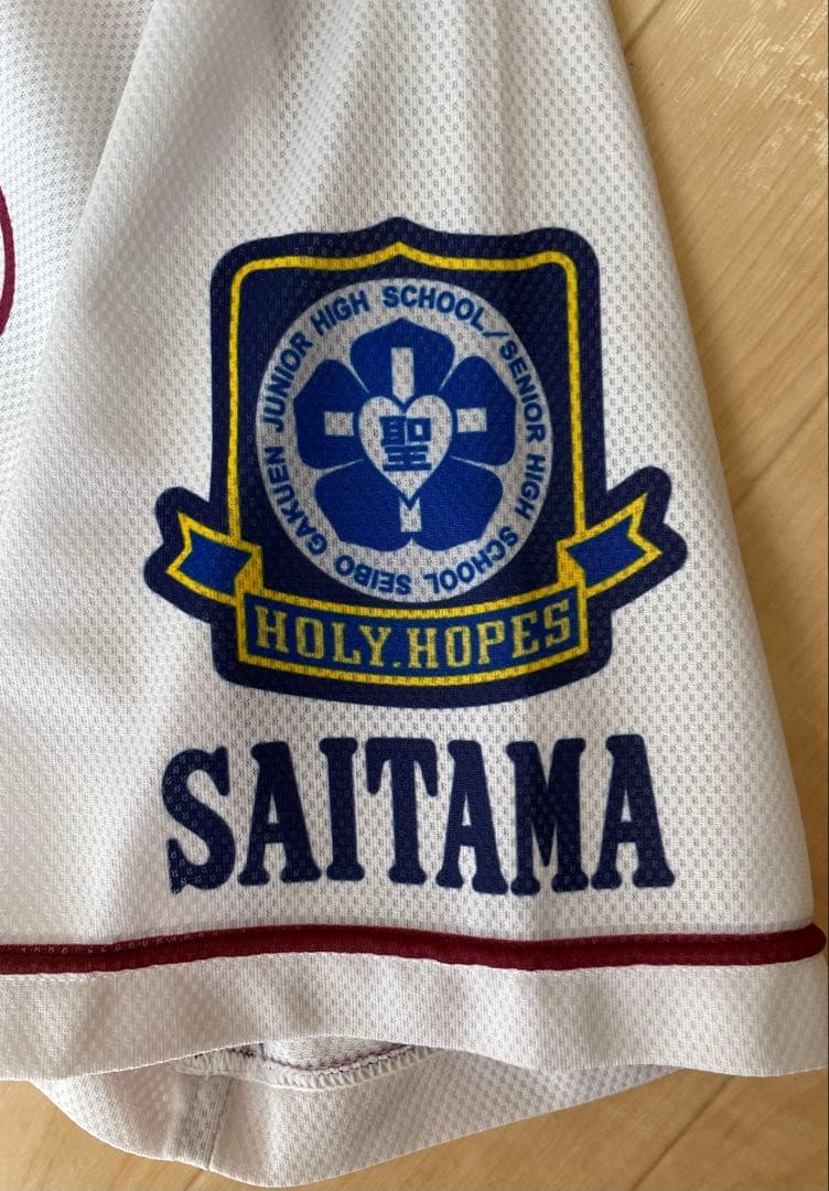 聖望学園高校　野球　ユニホーム　埼玉県　高校野球