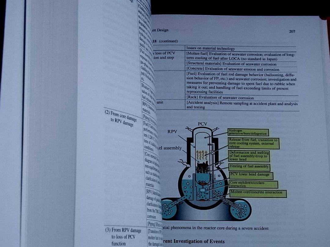 (洋書)福島第一原子力発電所事故