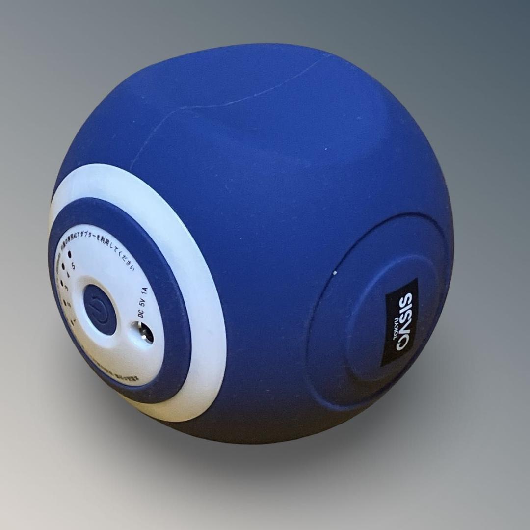 【美品】東急スポーツオアシス スタイリーボール SLB-100 OASIS