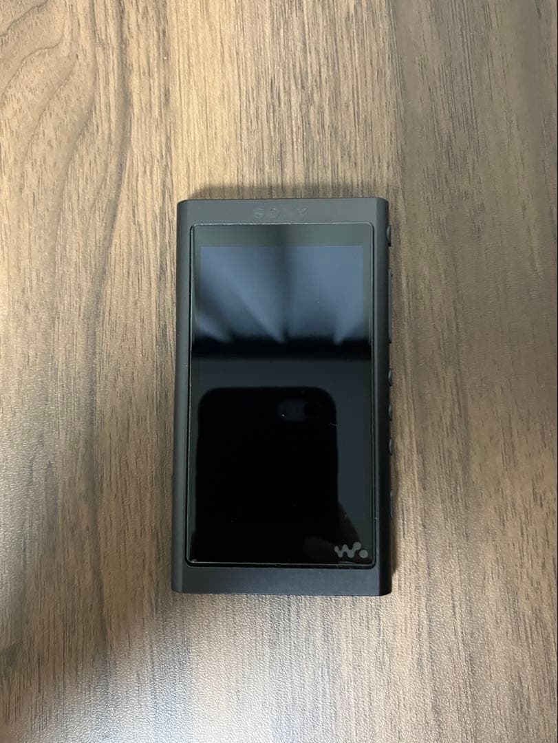 Sony NW-A55 + IER-NW500N セット