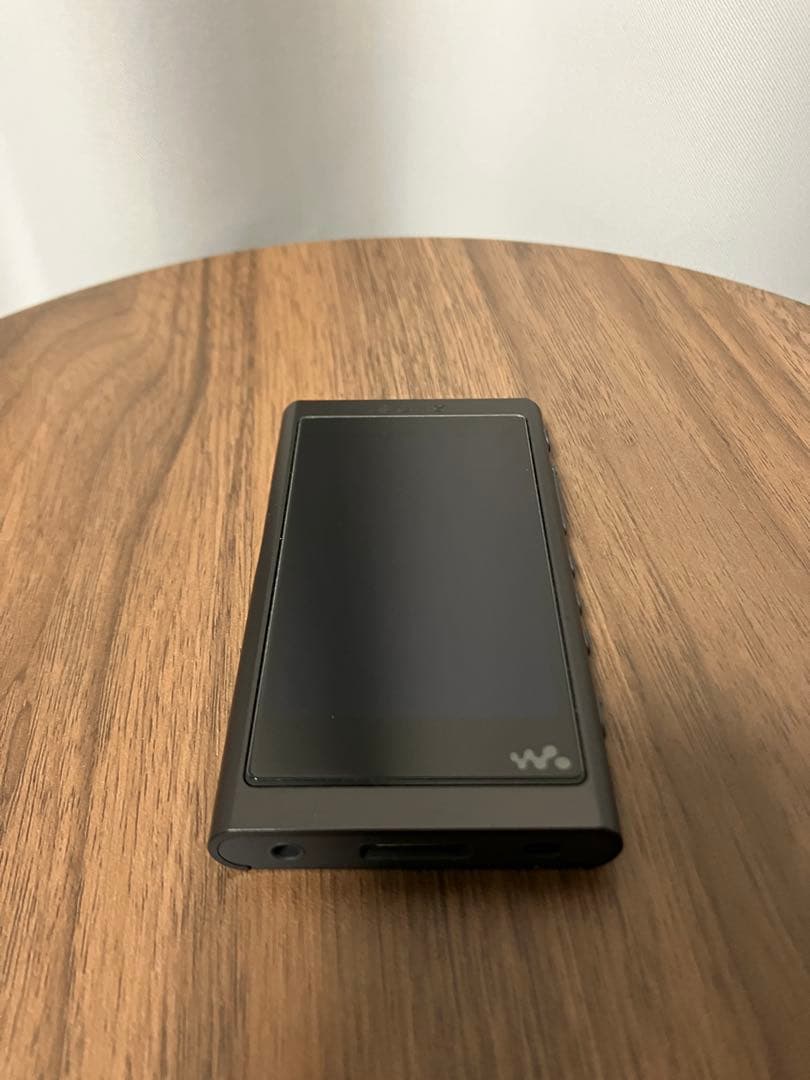 Sony NW-A55 + IER-NW500N セット