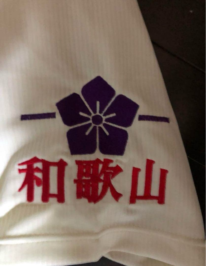 智弁和歌山　　智辯和歌山　試合前アップウェア