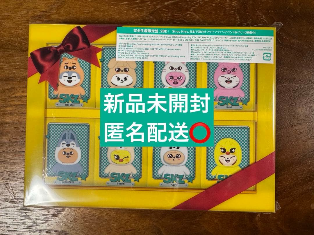 Stray Kids/Fan Connecting 2024\