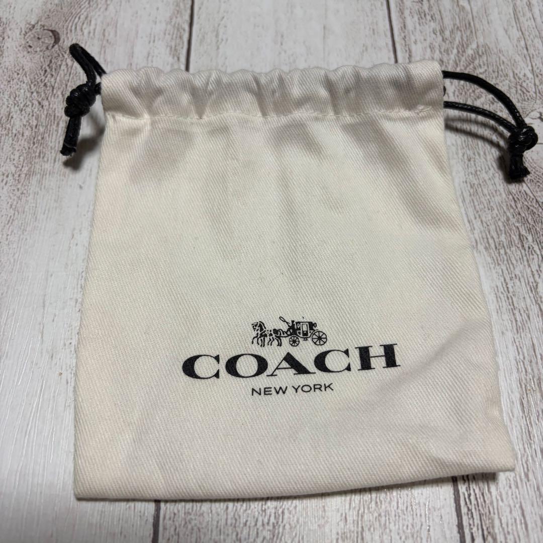 【専用】COACH コーチ スモール アップル バッグチャーム キーホルダー