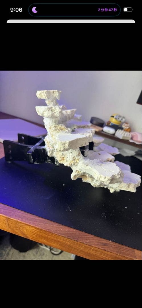 釣り上げ人工ライブロック　5kg