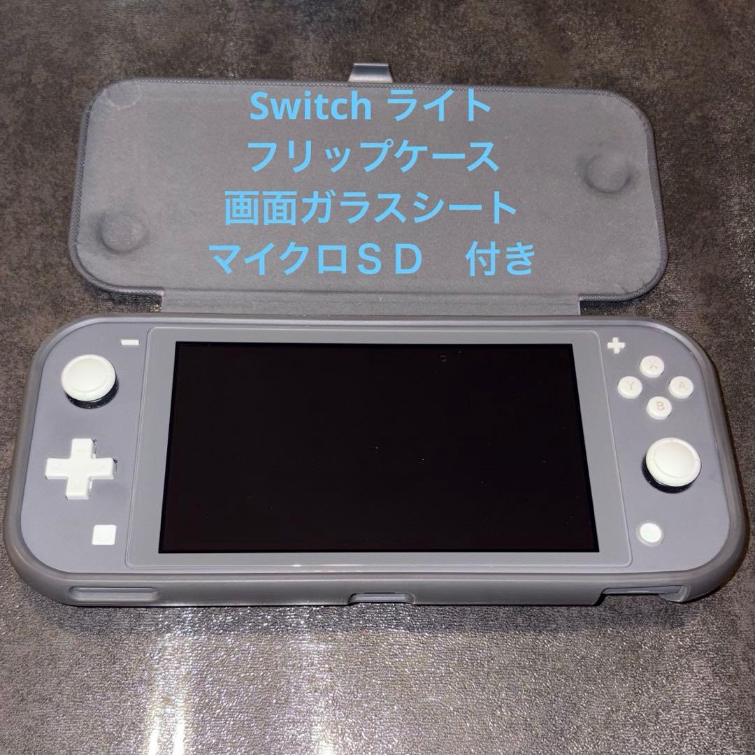 C*y様 Nintendo Switch Lite,付属品3点付き
