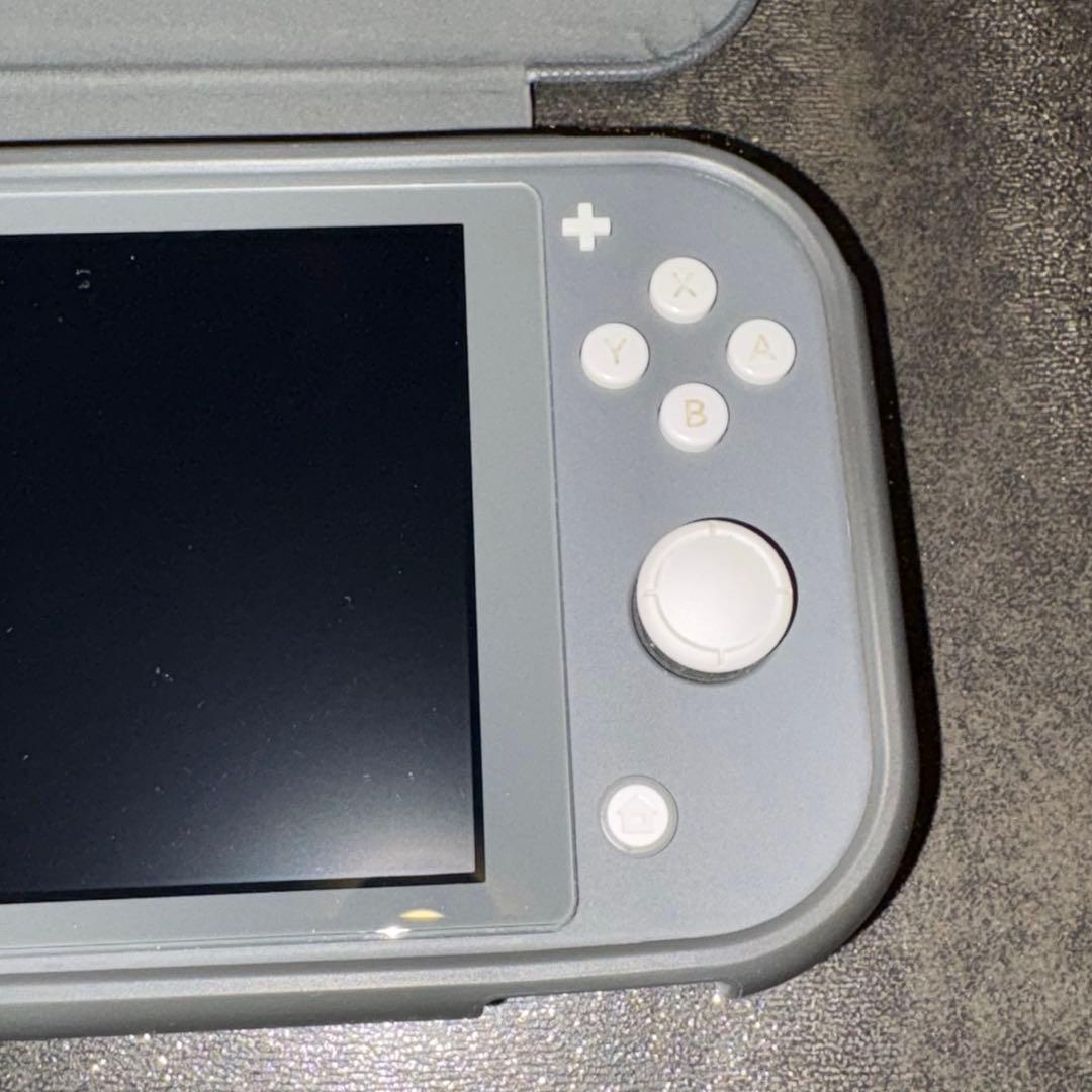 C*y様 Nintendo Switch Lite,付属品3点付き