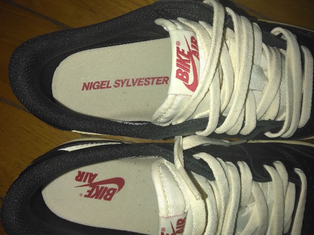 Nigel Sylvester Nike Air Jordan 1 27.5㎝
