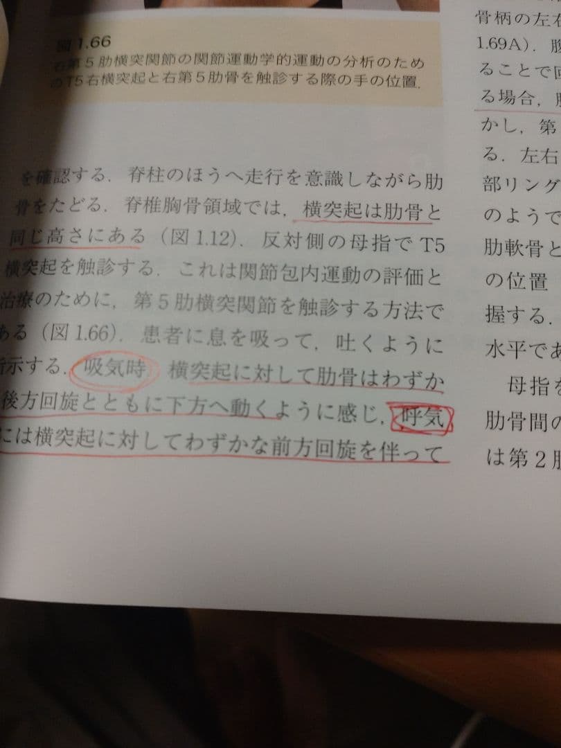 胸郭統合アプローチ