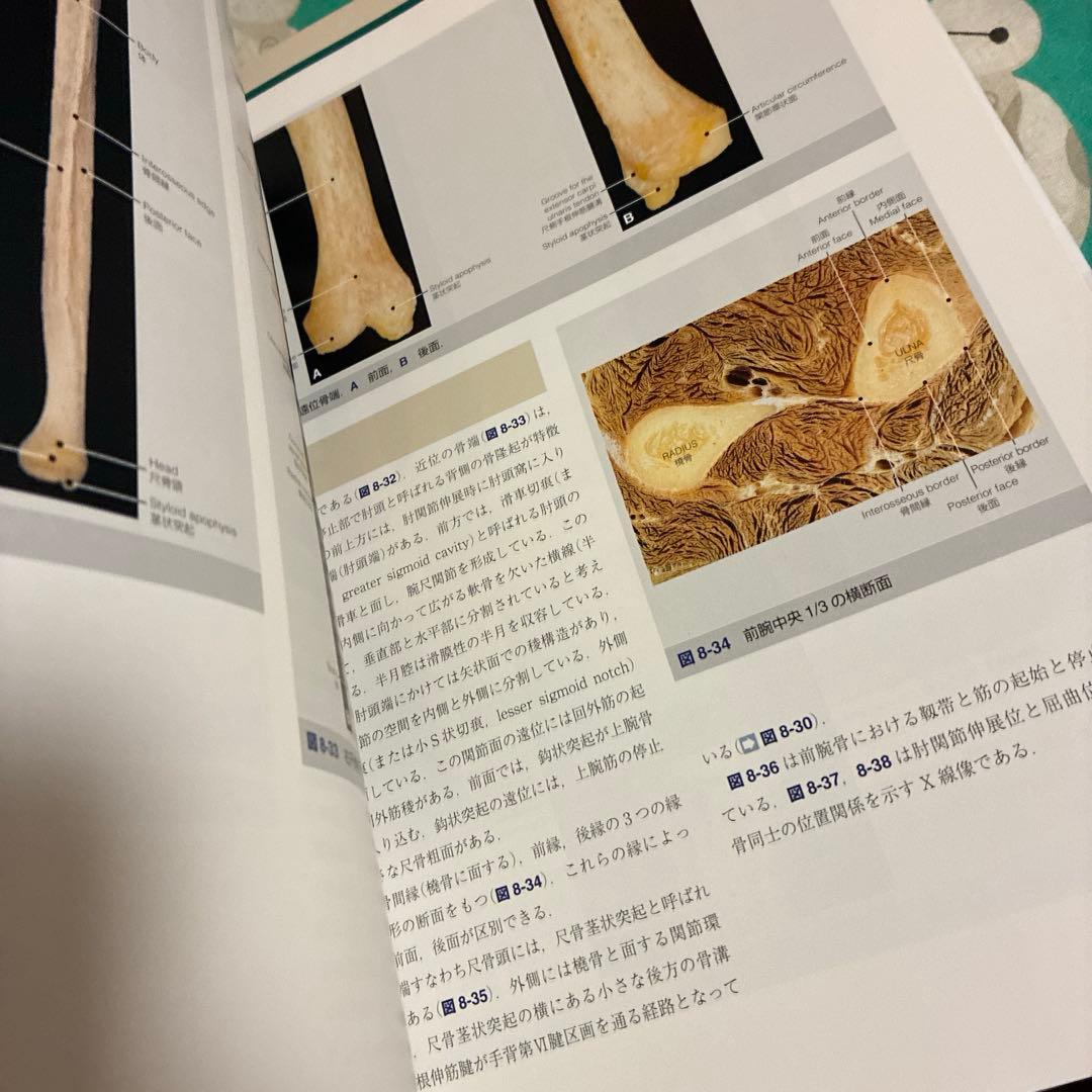 運動器臨床解剖アトラス　プロメテウス解剖学アトラス　解剖学専門書4冊セット