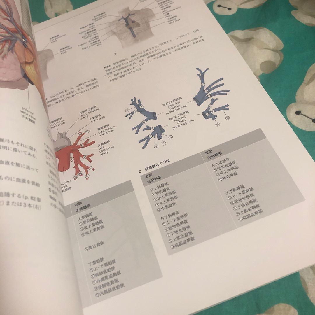 運動器臨床解剖アトラス　プロメテウス解剖学アトラス　解剖学専門書4冊セット