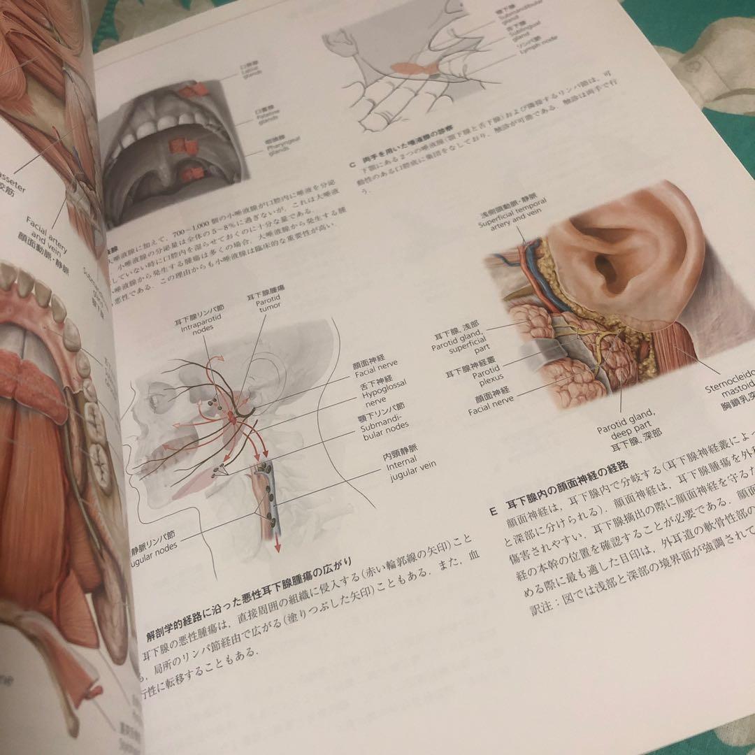 運動器臨床解剖アトラス　プロメテウス解剖学アトラス　解剖学専門書4冊セット