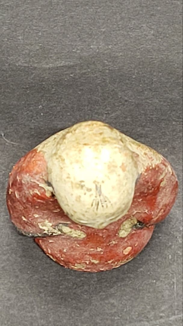 幕末～明治時代 堤人形かわや神 厠神 宮城県仙台 郷土人形 土人形 トイレの神様