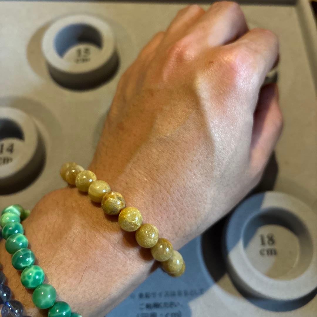 これは！めっちゃくちゃすんごい！密集ゴールドルチル！すごすぎ！