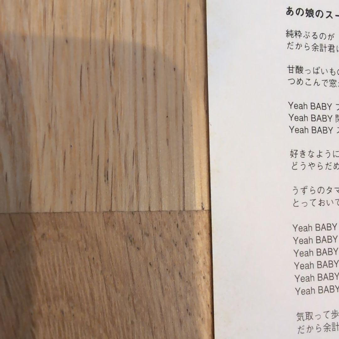 THE BIRTHDAY NIGHT ON FOOL レコード　チバユウスケ