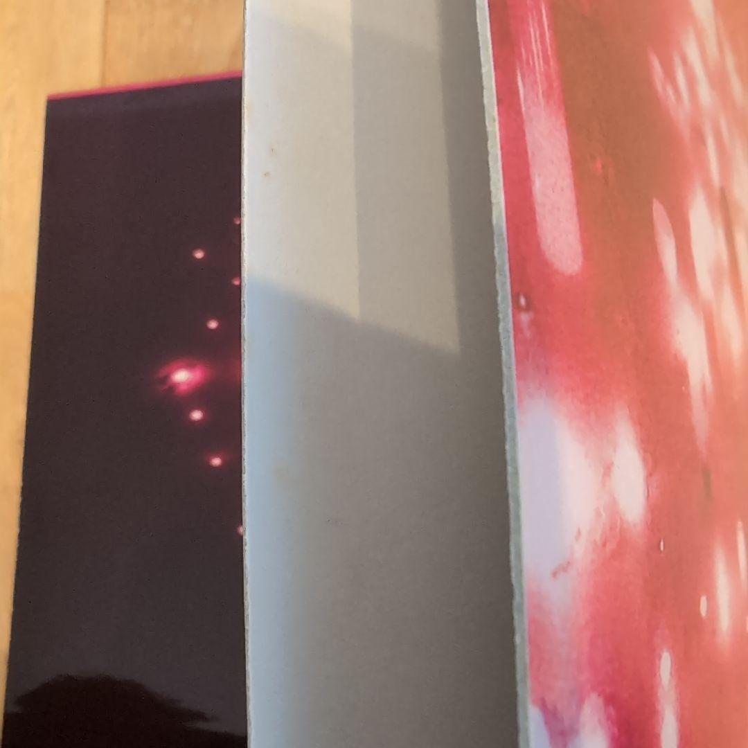 THE BIRTHDAY NIGHT ON FOOL レコード　チバユウスケ