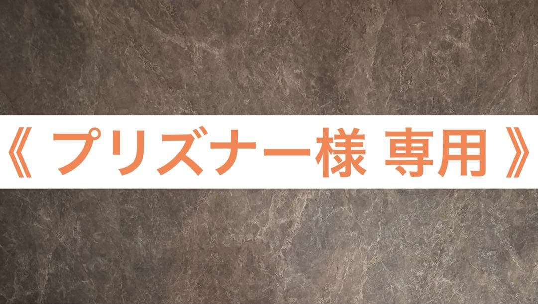 《 プリズナー 》 ②