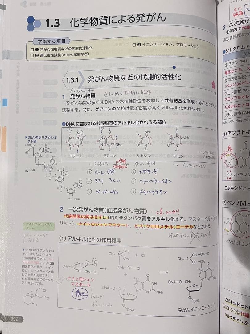 第110回薬剤師国家試験　青本青問　薬ゼミ