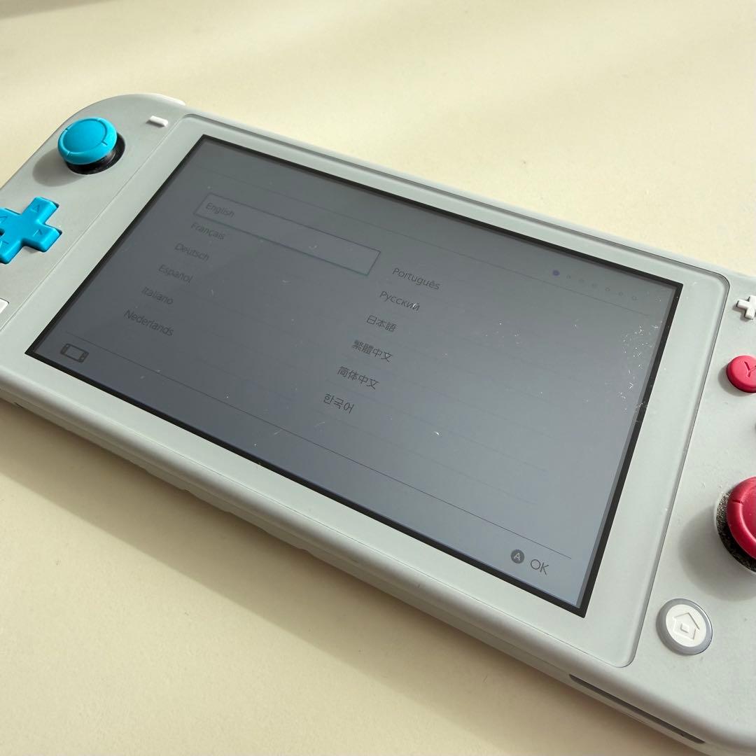 本体のみ　Nintendo Switch Lite グレー 本体　動作確認済み