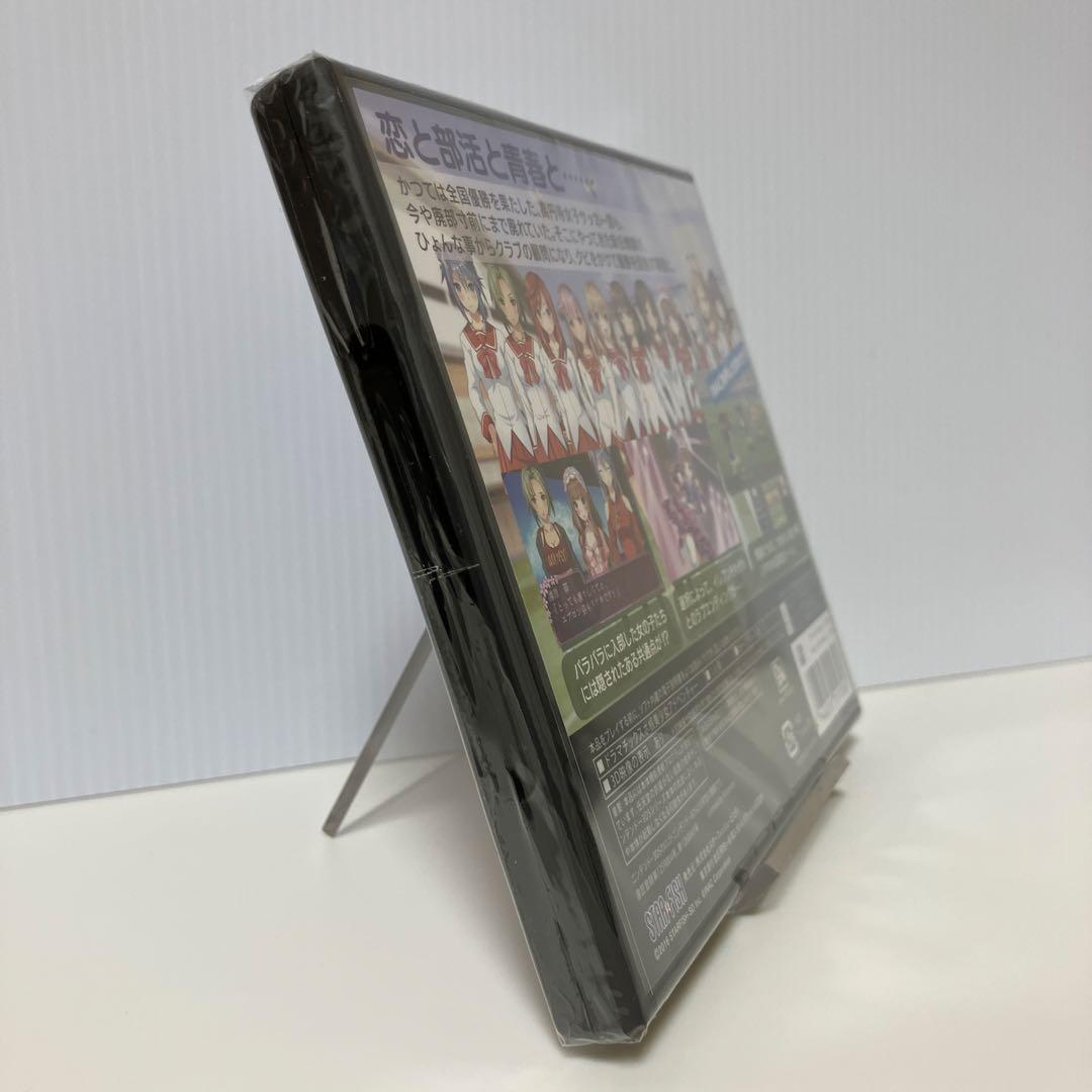 高円寺女子サッカー3 ～恋するイレブン いつかはヘブン〜