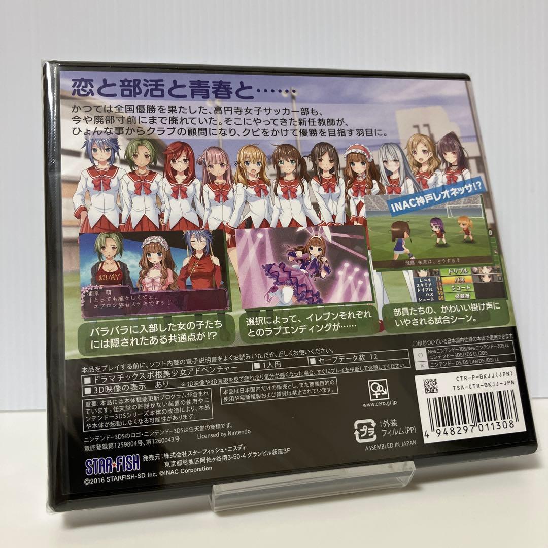 高円寺女子サッカー3 ～恋するイレブン いつかはヘブン〜