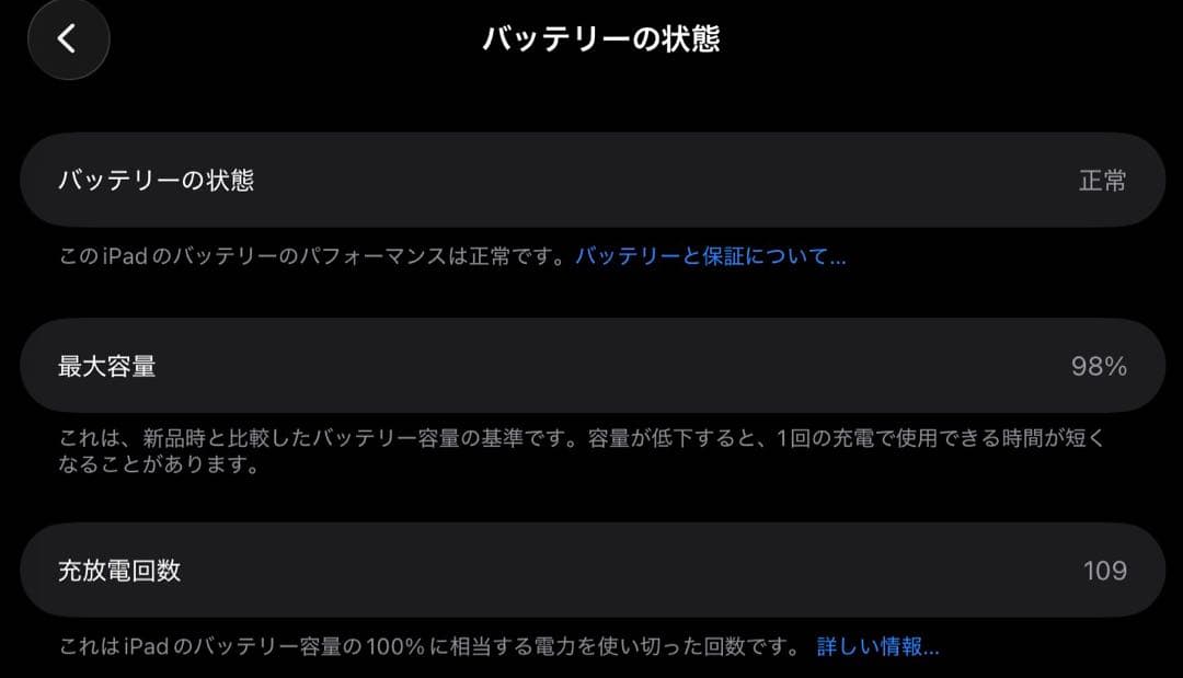 iPad Pro 11インチ 256GB WiFi+Cellularモデル