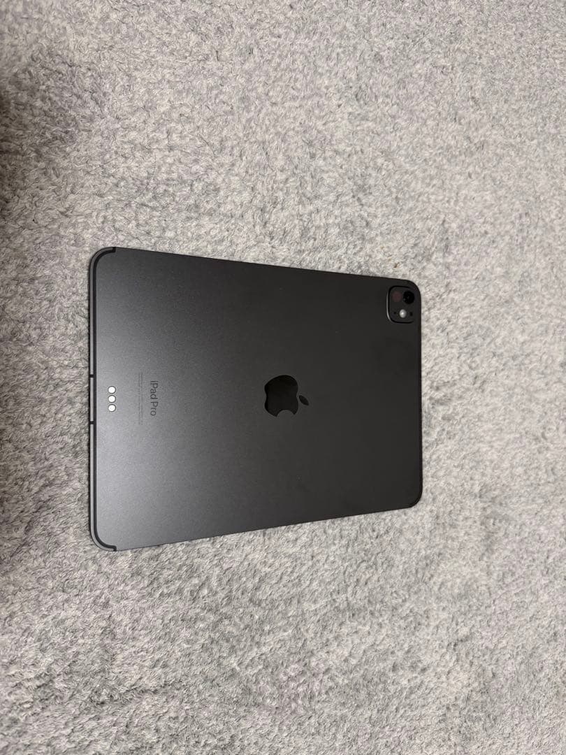 iPad Pro 11インチ 256GB WiFi+Cellularモデル